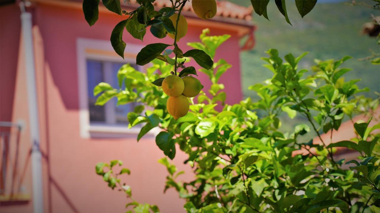 Hotel Tourist Parga Exteriör bild
